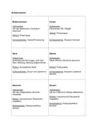 Vorschau - Stundenentwürfe - Zuordnungsaufgabe Synapsengifte - Seite 1