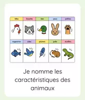 Aperçu - Outils du professeur - Compétences illustrées prog' 2026 : découvrir le monde... - Page de couverture