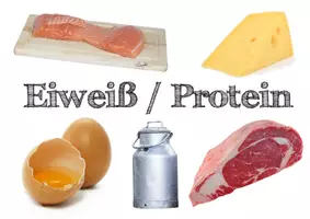 Vorschau - Poster - Grundnährstoffe - Infoplakate 2026 - Seite 3