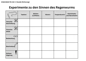 Vorschau - Unterrichtsreihen - Experimente mit dem Regenwurm Unterrichtsreihe Biologie - Seite 3