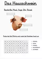 Vorschau - Arbeitsblätter - Das Schwein: Arbeitsblatt mit Suchsel (kostenlos) - Seite 1