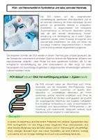 Vorschau - Arbeitsblätter - PCR-Methode: DNA, Vervielfältigung & Polymerase - Seite 2