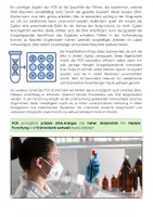 Vorschau - Arbeitsblätter - PCR-Methode: DNA, Vervielfältigung & Polymerase - Seite 3
