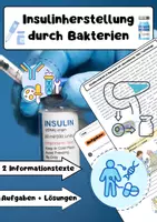 Vorschau - Arbeitsblätter - Insulinherstellung durch Bakterien: Biotechnologie - Deckblatt