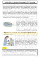 Vorschau - Arbeitsblätter - Insulinherstellung durch Bakterien: Biotechnologie - Seite 1
