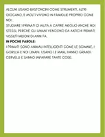 anteprima - Esercizi - SUPERQUADERNO DI STORIA 3 - primati - 'Homo di Neanderthal - Pagina 3