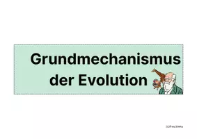 Vorschau - Mal- und Bastelvorlagen - Übungskarten Evolution Selektion Artbildung Evolutionsfaktoren - Seite 1