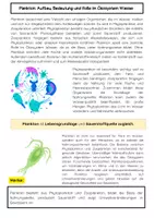 Vorschau - Arbeitsblätter - Das Plankton: Texte, Übungen, Lückentext, - Seite 1