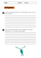 Vorschau - Arbeitsblätter - Das Plankton: Texte, Übungen, Lückentext, - Seite 3