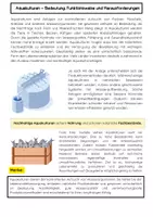 Vorschau - Arbeitsblätter - Meeresbiologie Materialpaket: Ozeane, Tiere und Ökosysteme - Seite 2