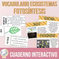 Vista previa - Tarjetas / Manipulativos - Fotosíntesis Cuaderno interactivo de vocabulario - Portada