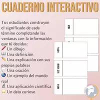 Vista previa - Tarjetas / Manipulativos - Fotosíntesis Cuaderno interactivo de vocabulario - página 2