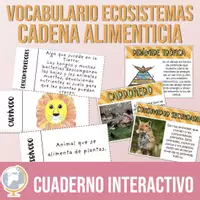 Vista previa - Tarjetas / Manipulativos - Cadena alimenticia Cuaderno interactivo de vocabulario - Portada