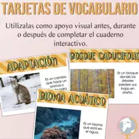 Vista previa - Tarjetas / Manipulativos - Biomas Cuaderno interactivo de vocabulario - página 3