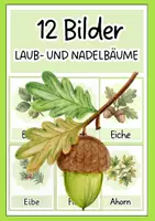 Vorschau - Poster - 12 Bilder - Laub-und Nadelbäume - Deckblatt