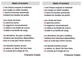 Aperçu - Préparation de séquence / Séquence complète - Recueil de poésie – Cycle 3 (année complète) - Page 3