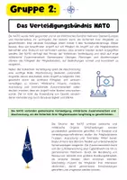 Vorschau - Arbeitsblätter - Internationale Friedenssicherung Gruppenarbeit: UN, NATO, GASP & NGOs - Seite 3