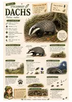 Vorschau - Arbeitsblätter - Dachs – kostenloses Materialpaket für Sachunterricht & Naturbildung | Bella Wildherz - Deckblatt