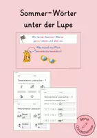 Vorschau - Stundenentwürfe - Unterrichtsstunde Sommer - Sommerwörter untersuchen - Deckblatt