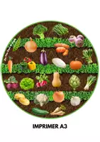 Aperçu - Jeux - Cherche et trouve les légumes - Page de couverture