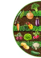 Aperçu - Jeux - Cherche et trouve les légumes - Page 1