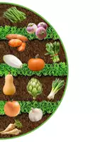 Aperçu - Jeux - Cherche et trouve les légumes - Page 2