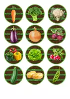 Aperçu - Jeux - Cherche et trouve les légumes - Page 3