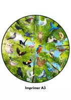 Aperçu - Jeux - Cherche et trouve les oiseaux - Page de couverture