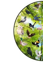 Aperçu - Jeux - Cherche et trouve les oiseaux - Page 1