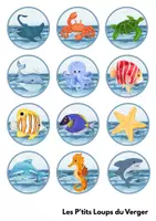 Aperçu - Jeux - Cherche et trouve les animaux marins - Page 3