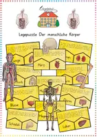 Vorschau - Spiele - Der menschliche Körper (Organe & Skelett): Legepuzzle - Sachunterricht - Kl. 3/4 - Deckblatt
