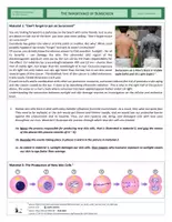 Vorschau - Arbeitsblätter - Genetics - Complex Exercise - Sunscreen - Seite 1