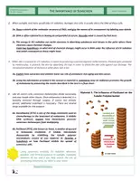 Vorschau - Arbeitsblätter - Genetics - Complex Exercise - Sunscreen - Seite 2