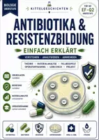 Vorschau - Stundenentwürfe - Antibiotika & Resistenzbildung | Biologie Oberstufe EF-Q2 - Seite 2