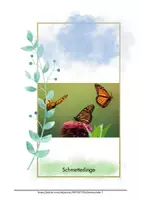 Vorschau - Bildkarten - Stilles Bilderbuch Schmetterlinge Beschäftigung für Demente Demenz Alzheimer - Seite 2