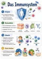 Vorschau - Arbeitsblätter - Lernposter + Arbeitsblätter zum Thema "Immunsystem" + Lösung & MP3 + Mindmap + Infografik - Deckblatt