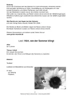 Vorschau - Arbeitsblätter - Hört, wie der Sommer klingt - RJ Gross - C Hoely - Seite 1
