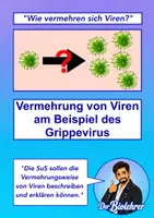 Vorschau - Stundenentwürfe - Vermehrung von Viren am Beispiel des Grippevirus - Deckblatt