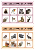 Aperçu - Jeux - Loto animaux forêt - Maternelle - Page 2