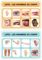 Aperçu - Jeux - Loto des membres du corps - Maternelle - Page de couverture