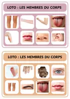 Aperçu - Jeux - Loto des membres du corps - Maternelle - Page 1