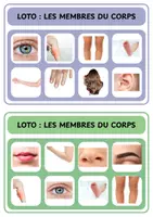 Aperçu - Jeux - Loto des membres du corps - Maternelle - Page 2
