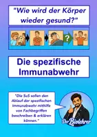 Vorschau - Stundenentwürfe - Die spezifische Immunabwehr - Deckblatt