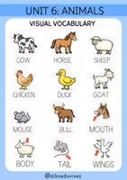 Vista previa - Unidades / Secuencias / Situaciones de Aprendizaje - Grammar 2 (Unit 6: Animals) Letra NO ligada - página 1