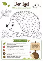 Vorschau - Spiele - Der Igel - Malbild mit Fakten | Herbst | Grundschule & Kindergarten - Deckblatt