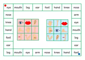 Vorschau - Spiele - My Body: Bingo - Seite 1