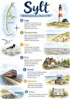 Vorschau - Arbeitsblätter - Lernposter + Arbeitsblätter zum Thema "Sylt" + Lösung & MP3 + Mindmap + Infografik - Deckblatt