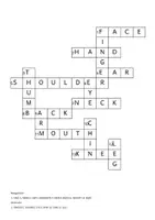 Vorschau - Spiele - My Body: Crossword Puzzle - Seite 2