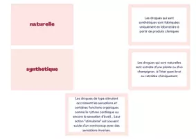 Aperçu - Apprentissages en autonomie - Sensibilisation drogues activité - Page 2