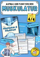 Vorschau - Arbeitsblätter - Aufbau und Funktion der Muskulatur | Arbeitsblätter mit Lösungen und Präsentation für die Klassen 6, 7 und 8 - Deckblatt